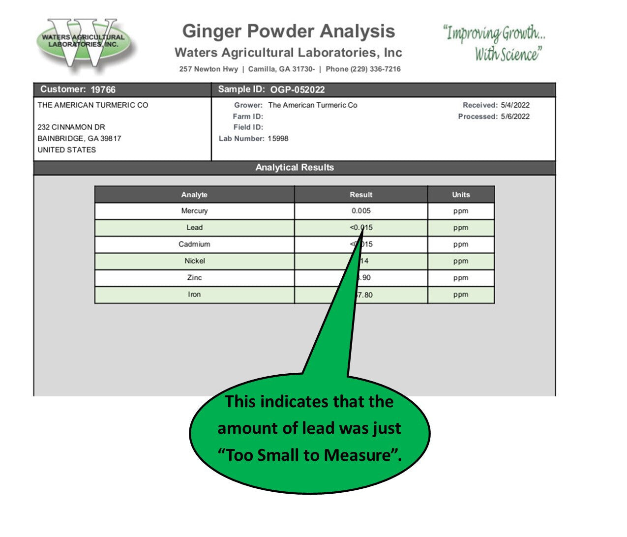 Ginger Powder - Naturally Grown and Lab Tested by America&