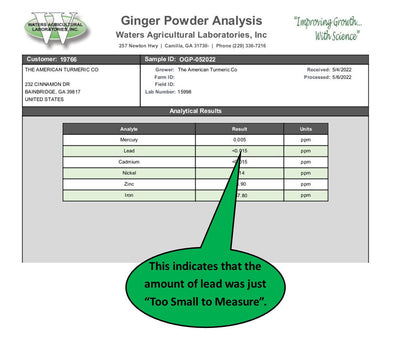 Ginger Powder - Naturally Grown and Lab Tested by America&