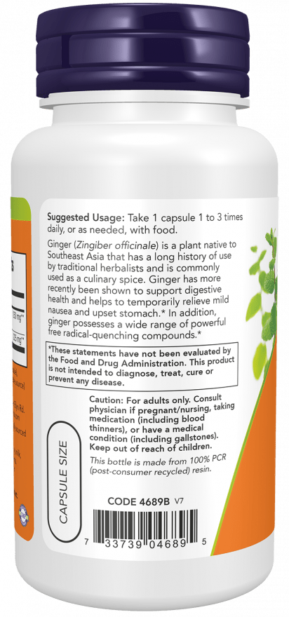Ginger Root Extract 250mg by Country Life Natural Foods