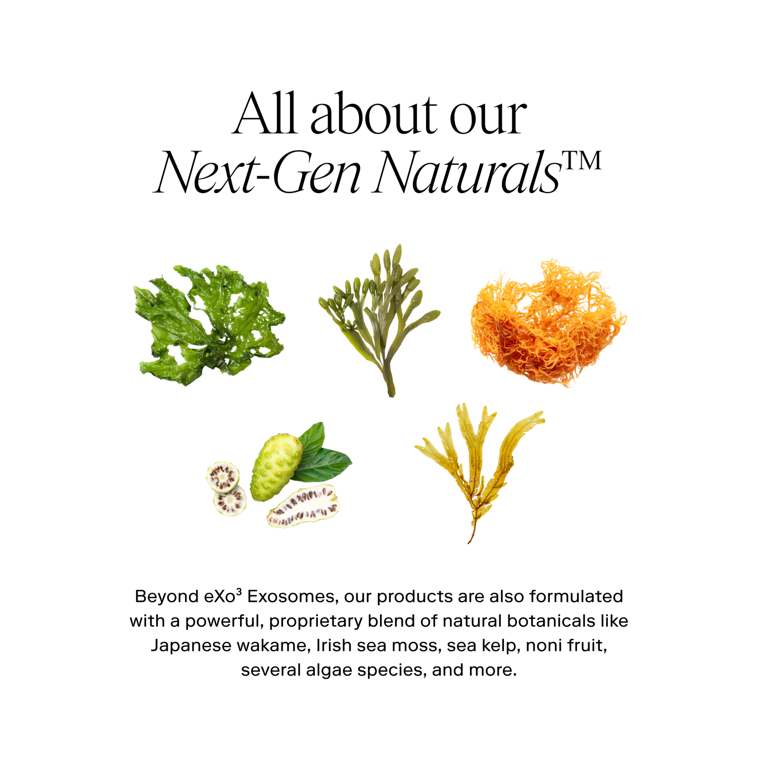 EXO H-SERUM™ Hyaluronic Acid Treatment / eXo³ Exosomes® by Exoceuticals