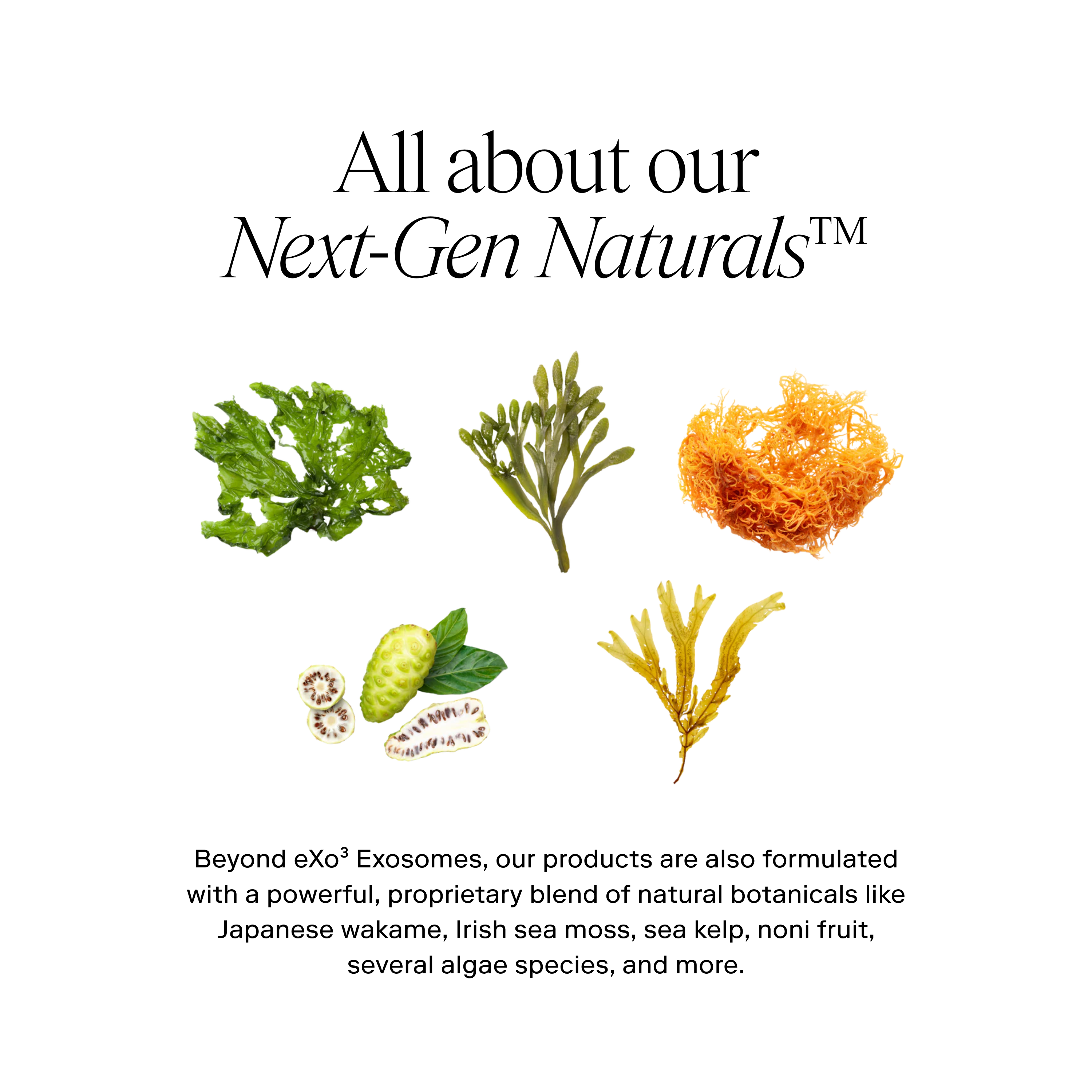 EXO H-SERUM™ Hyaluronic Acid Treatment / eXo³ Exosomes® by Exoceuticals