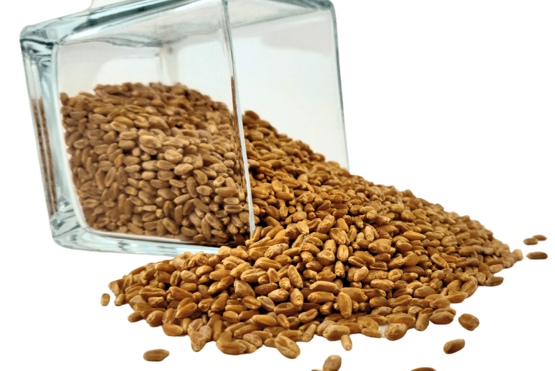 Wheat Berries, Hard Red, Winter Wheat, Wheat Montana by Country Life Natural Foods