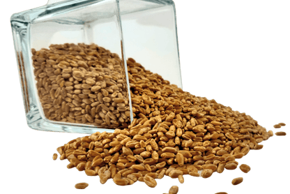 Wheat Berries, Hard Red, Winter Wheat, Wheat Montana by Country Life Natural Foods