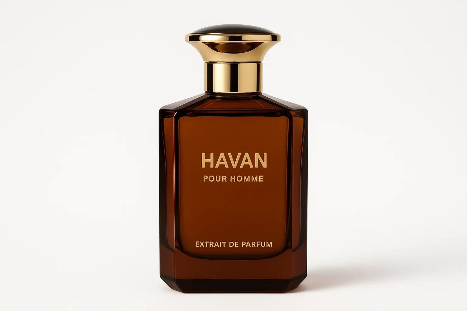 Fragrance Story Havan EDP – Men’s 3.4oz Spray by perfumesandrea