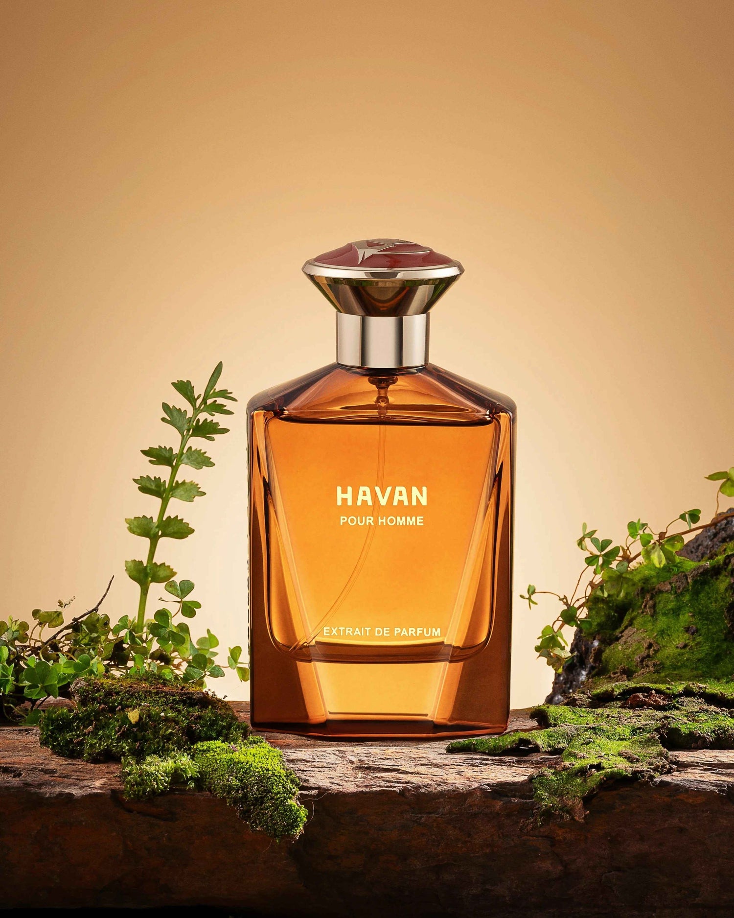 Fragrance Story Havan EDP – Men’s 3.4oz Spray