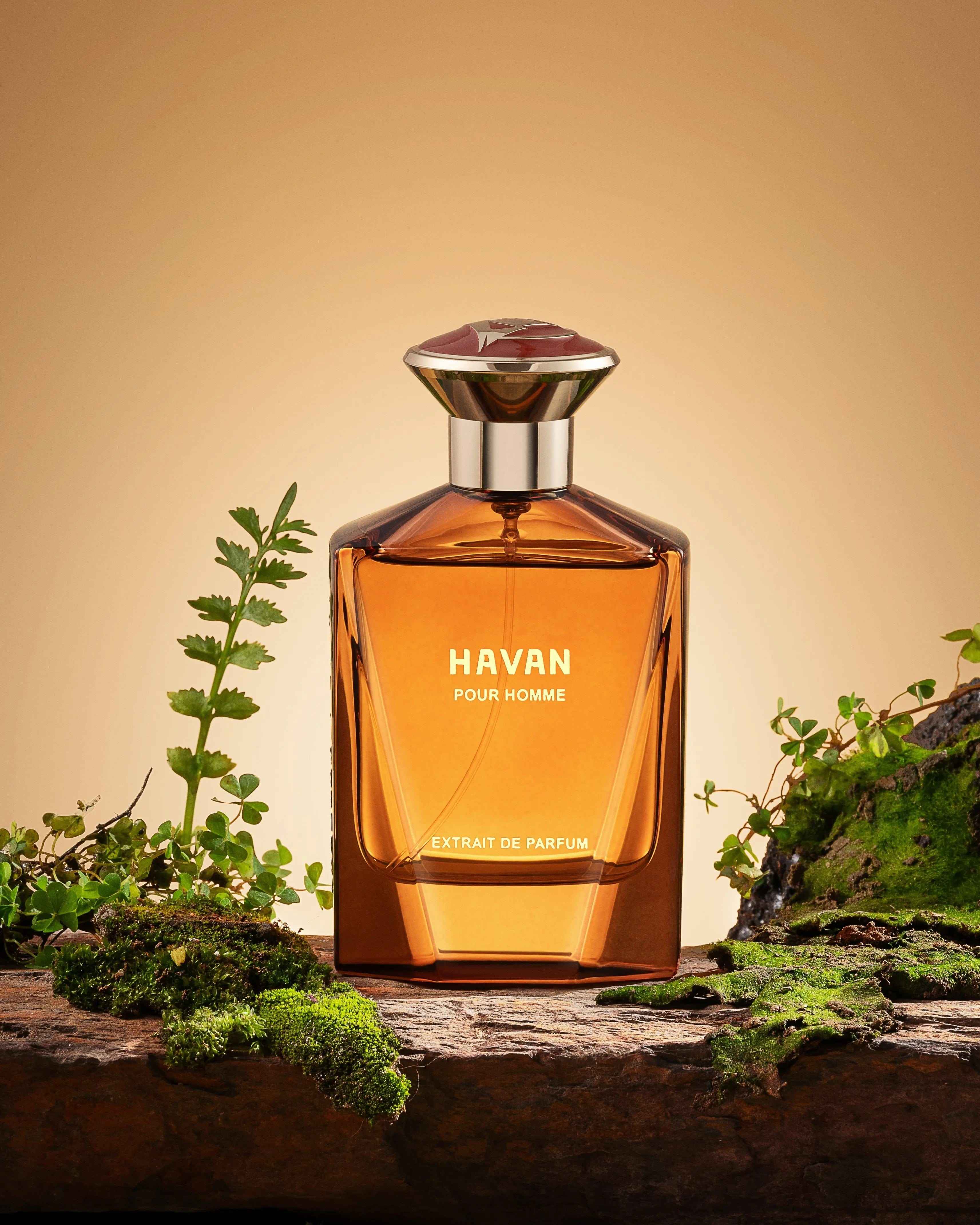 Fragrance Story Havan EDP – Men’s 3.4oz Spray