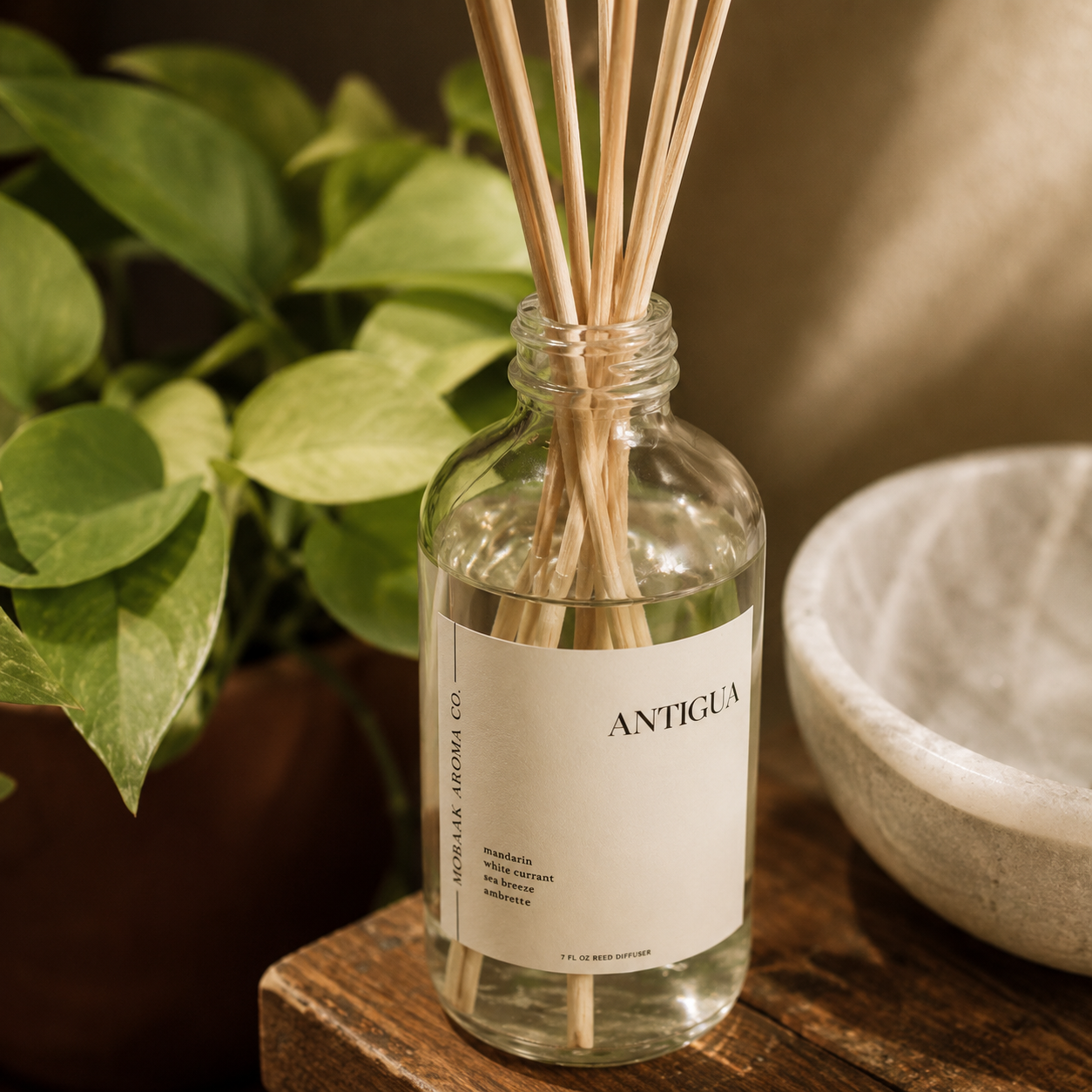 Antigua Reed Diffuser by Mobaak Aromatherapy Shoppe