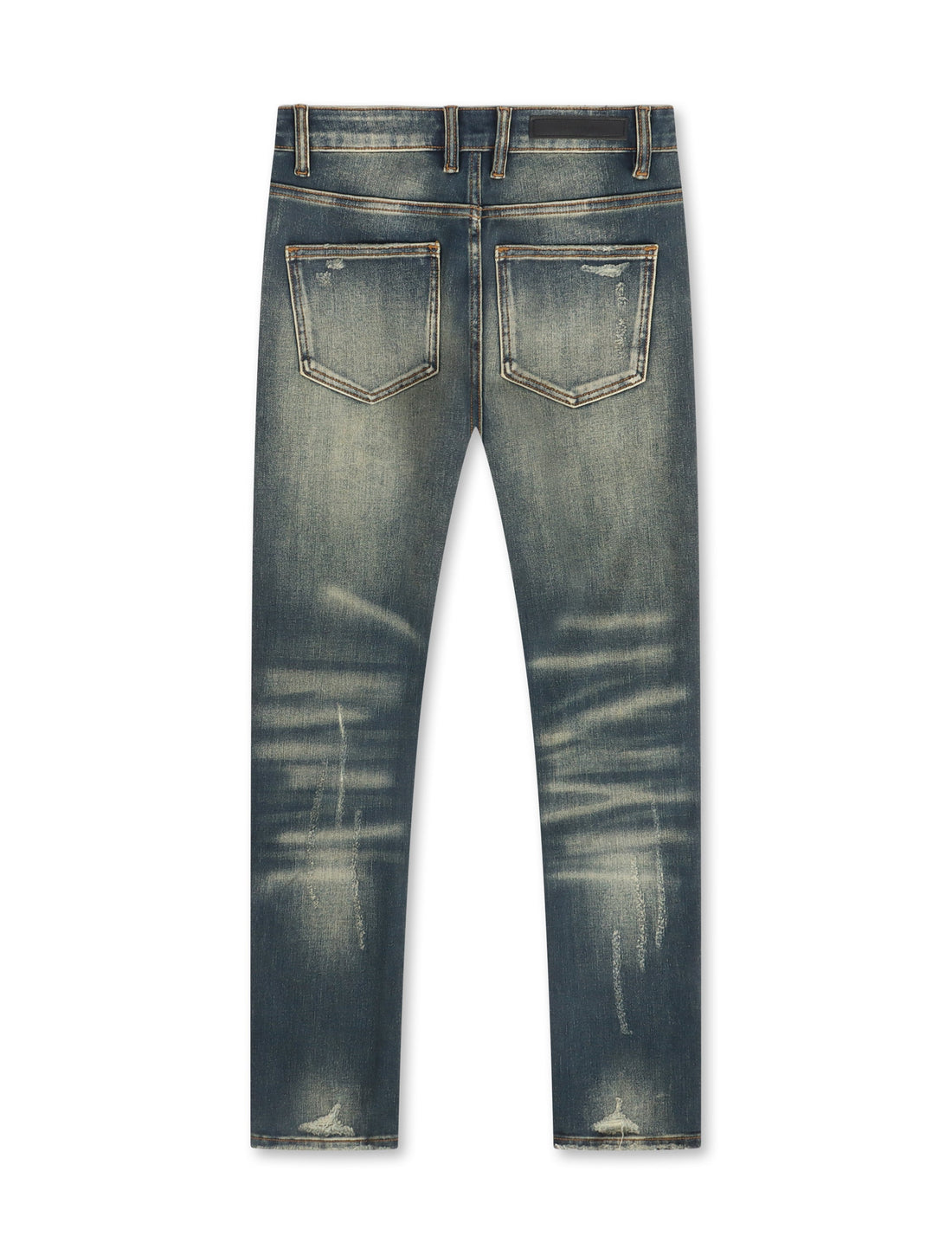 Embellish Cactus Skinny Jean - Vintage Wash by Denim Exchange