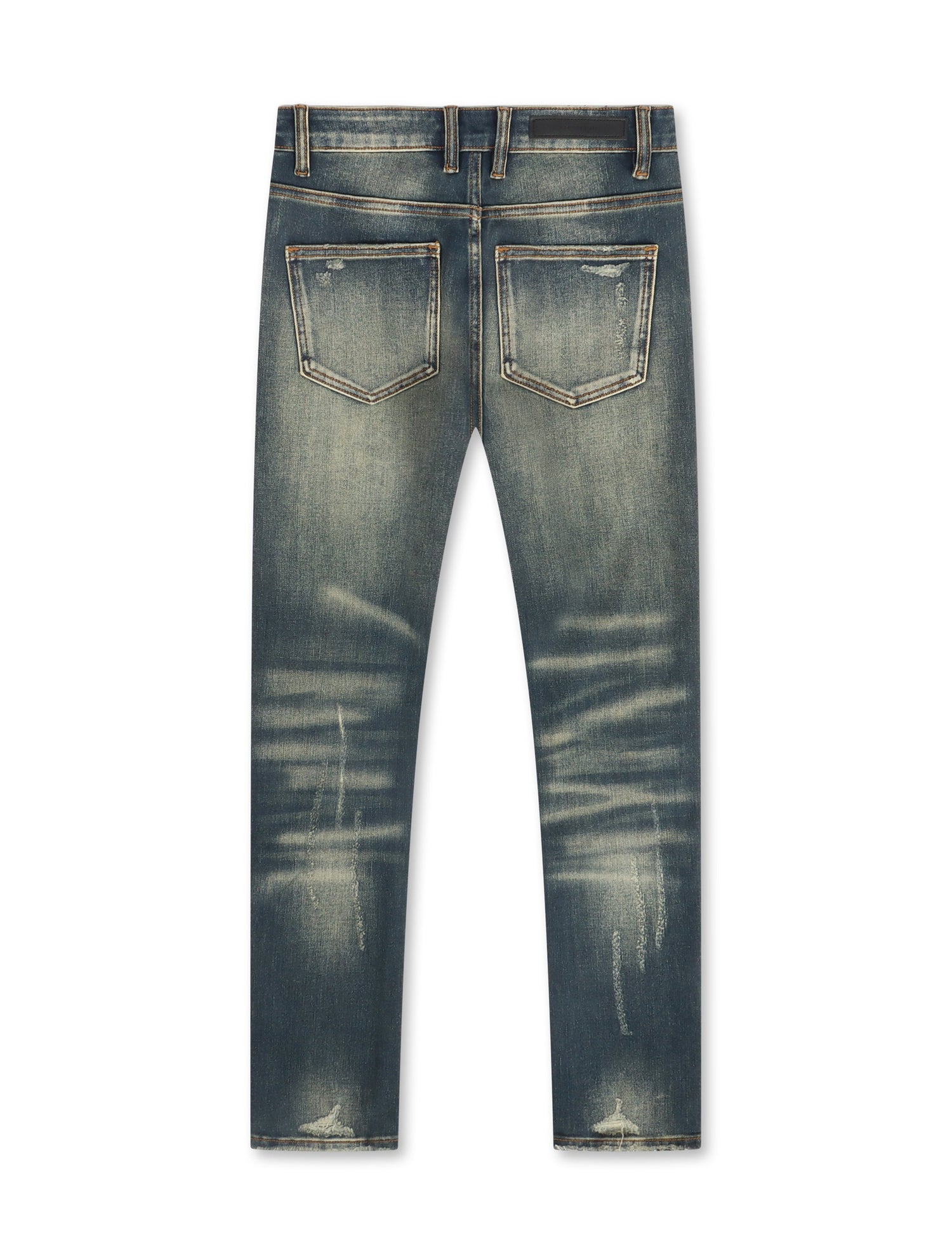 Embellish Cactus Skinny Jean - Vintage Wash by Denim Exchange