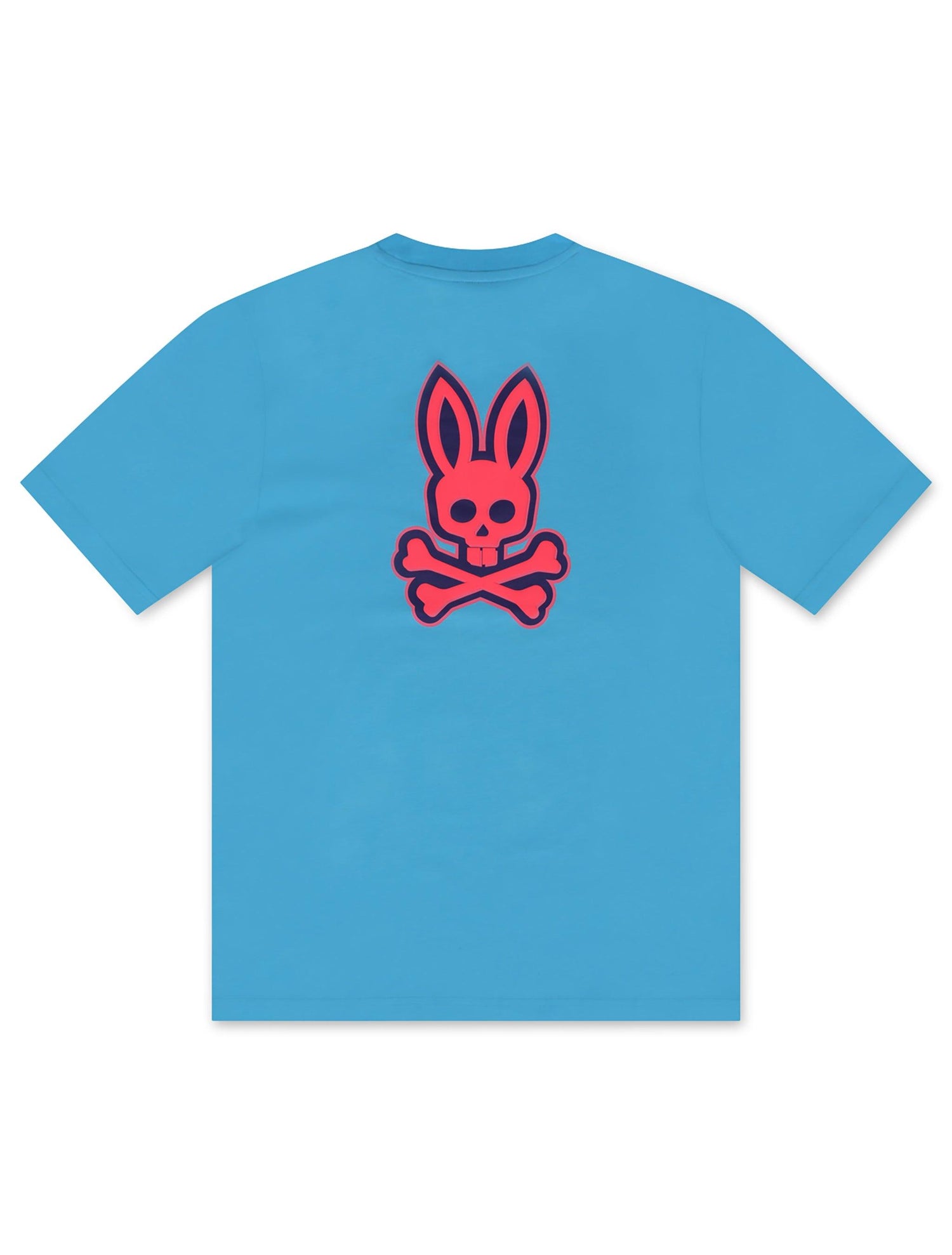 Psycho Bunny Sloan Back Graphic Tee - Aquarius by Denim Exchange
