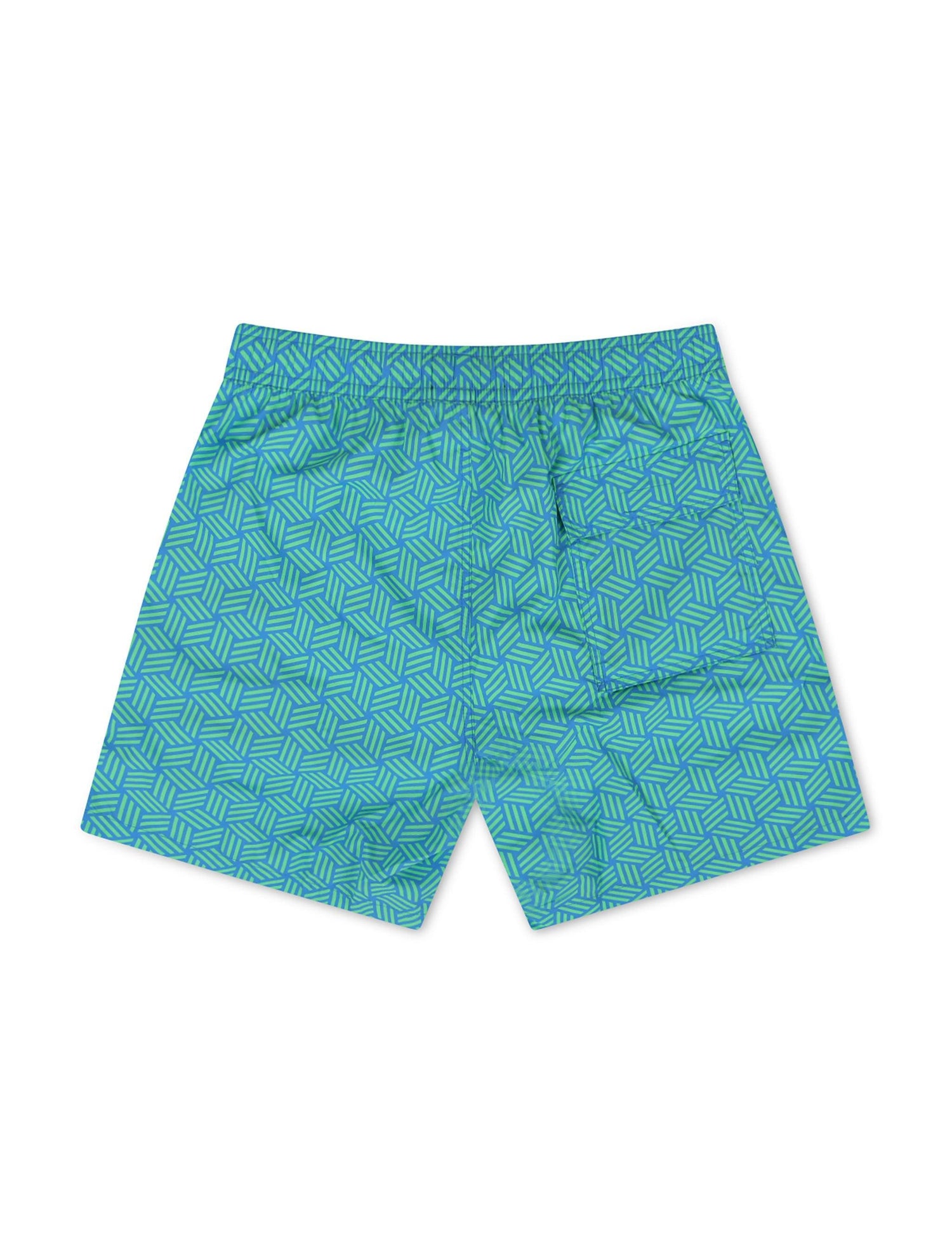 Psycho Bunny Jasper Aop Lightweight Swim Trunk - Green Gecko by Denim Exchange