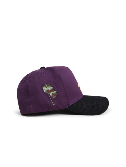 Reference Mens Paradise LA Corduroy Brim Hat - Purple/Black by Denim Exchange