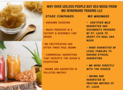 Certified Pure Wild Harvested Organic Gold Raw Sea Moss