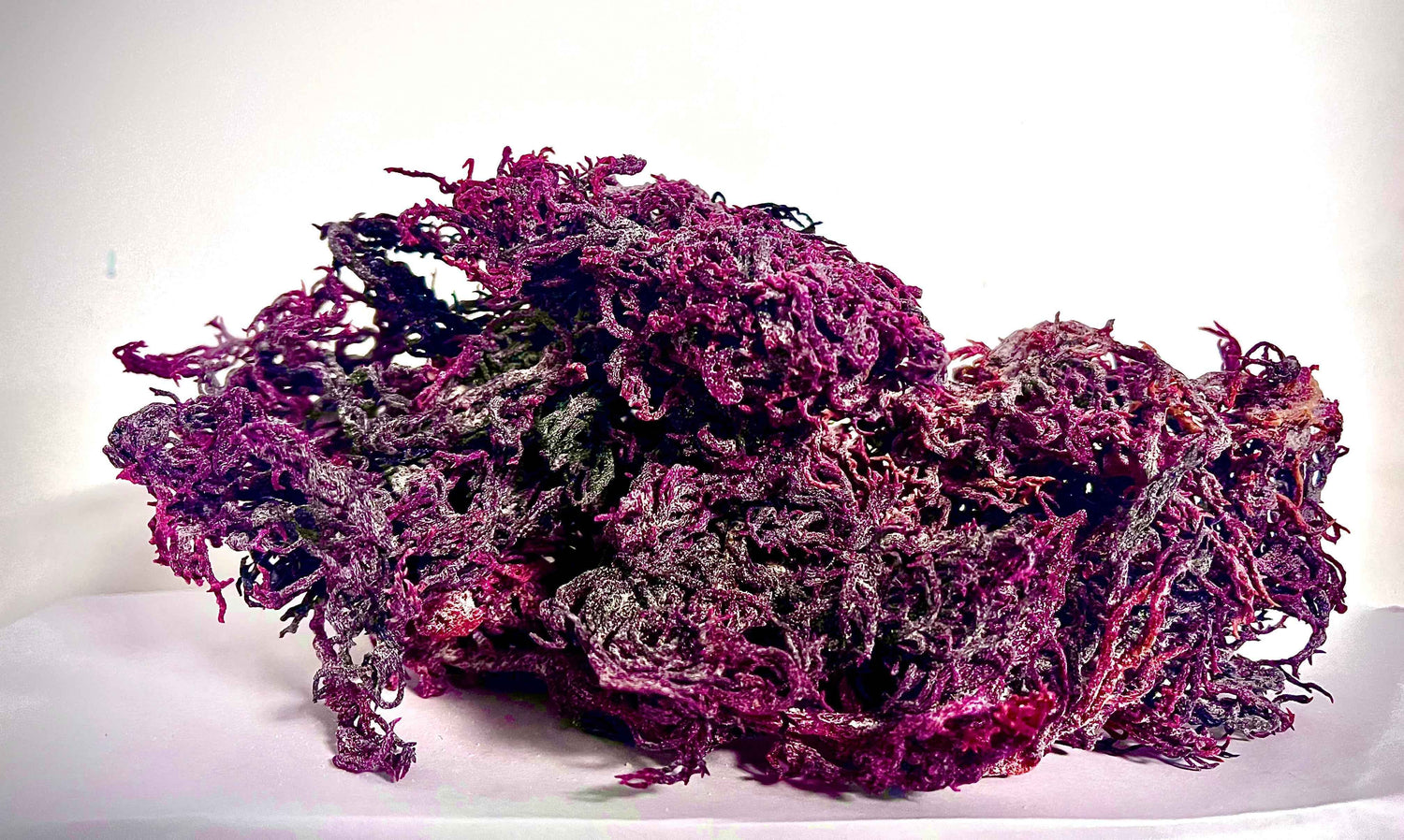 Pure Certified Wild Harvested Organic Purple Raw Sea Moss