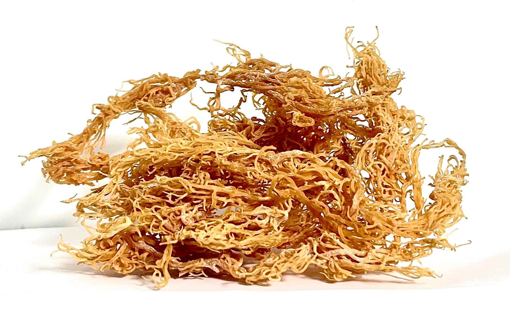 Certified Pure Wild Harvested Organic Gold Raw Sea Moss