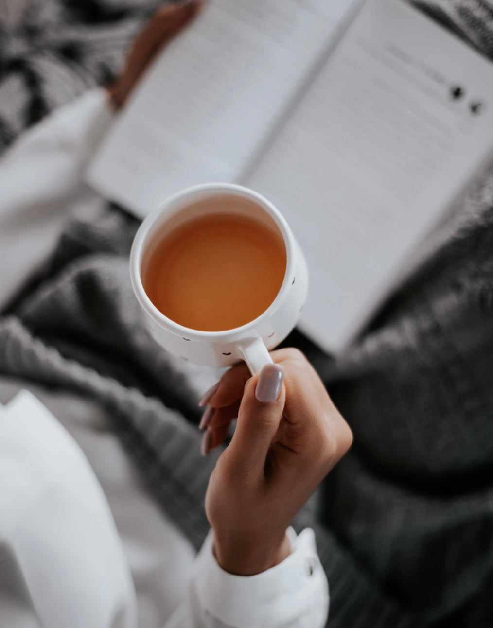 Premium Irish Sea Moss Herbal Teas - DestGlow