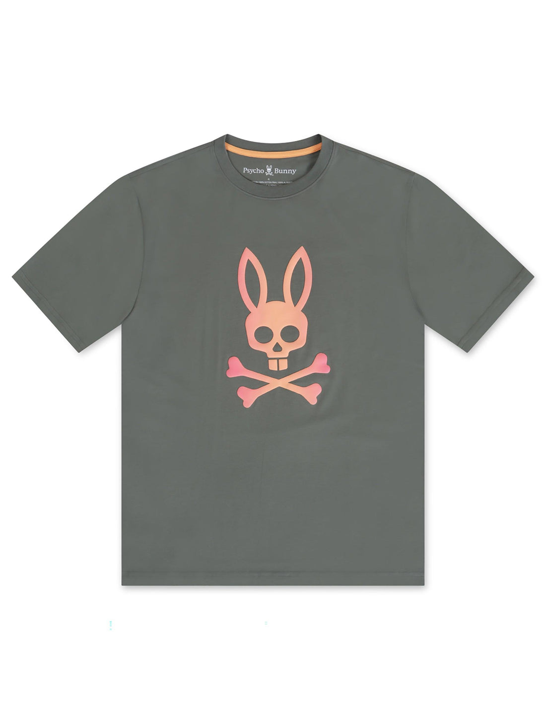 Psycho Bunny Norwood Graphic Tee - Agave Green by Denim Exchange