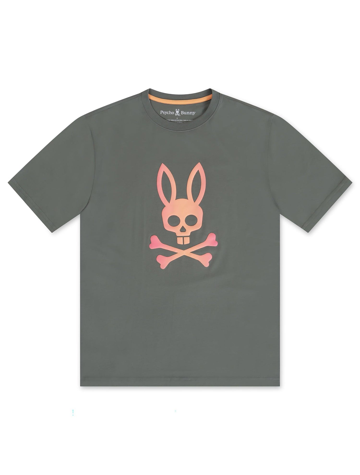 Psycho Bunny Norwood Graphic Tee - Agave Green by Denim Exchange
