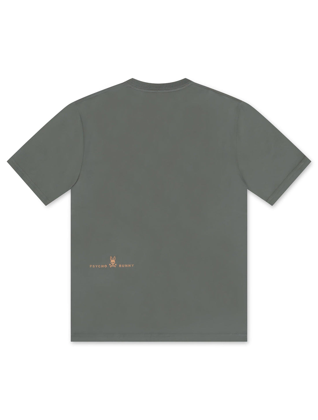 Psycho Bunny Norwood Graphic Tee - Agave Green by Denim Exchange