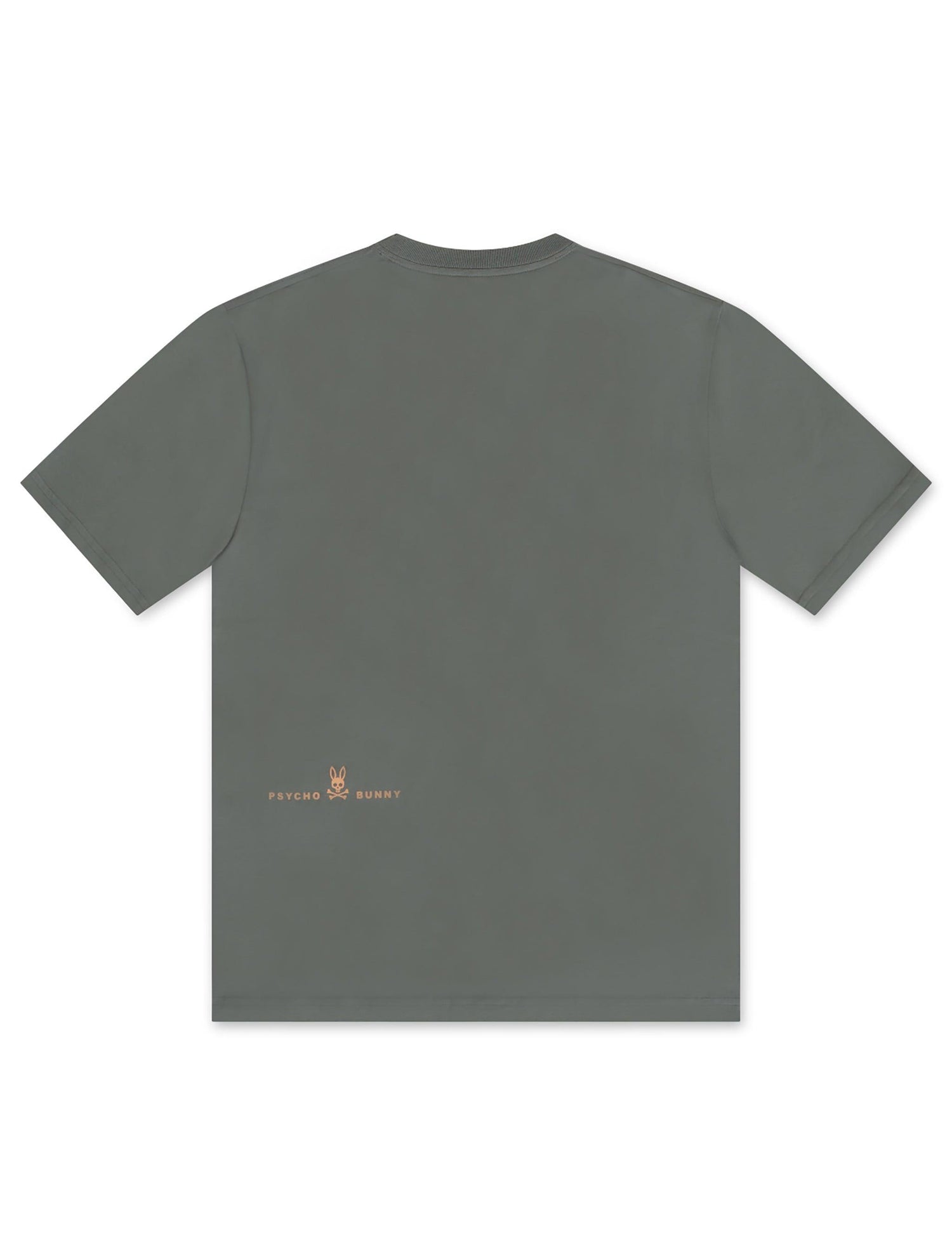 Psycho Bunny Norwood Graphic Tee - Agave Green by Denim Exchange