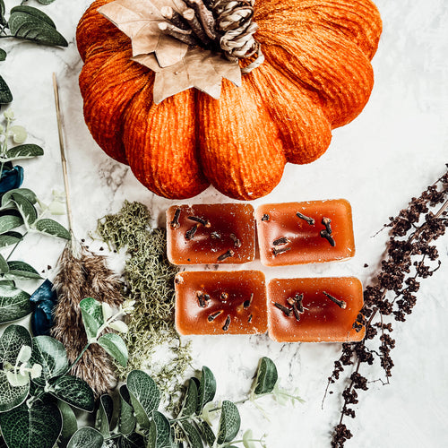 Fall Clove Scented Candle - Warm Autumn Spice Home Fragrance