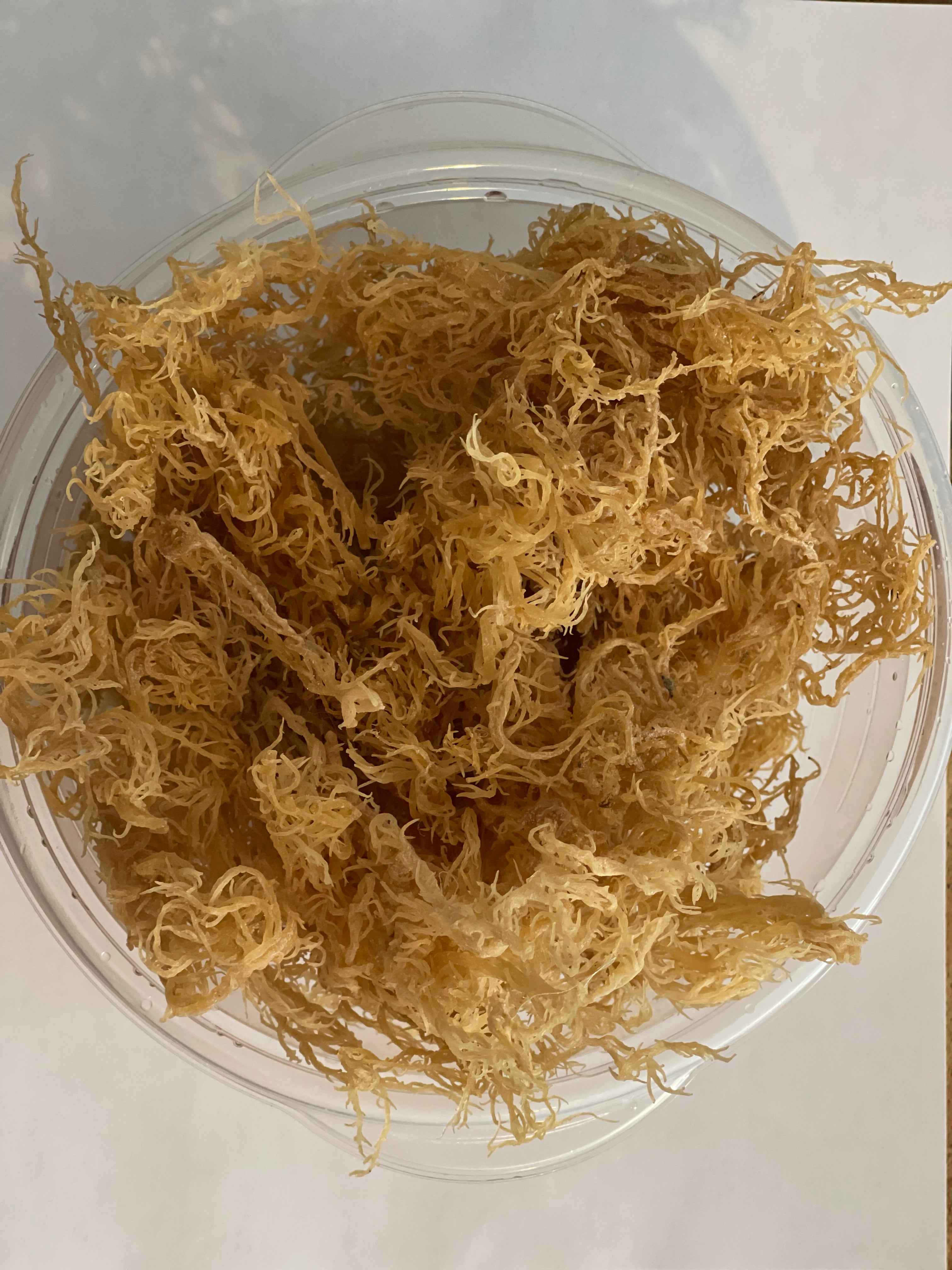Certified Pure Wild Harvested Organic Gold Raw Sea Moss