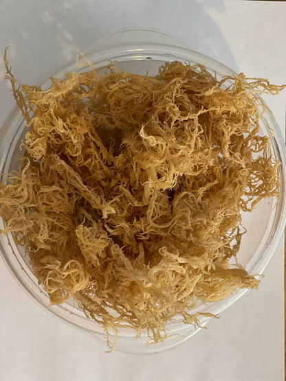 Certified Pure Wild Harvested Organic Gold Raw Sea Moss