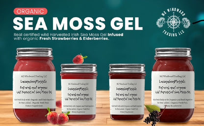 Black Seed Oil and Oregano Infused Organic Sea Moss Gel by Seamoss Global
