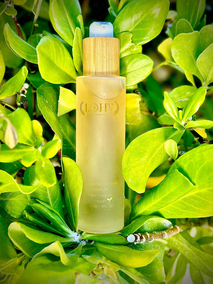 PREMIUM 100% Vegan Hydrating Facial Cleanser, Moisturizing Face Wash For All Skin Types, Hyaluronic Acid + Ginger Water + Lactic acid + Glycolic acid, Fragrance Free &amp; Paraben Free, Non-Drying Oil Control Face Wash.