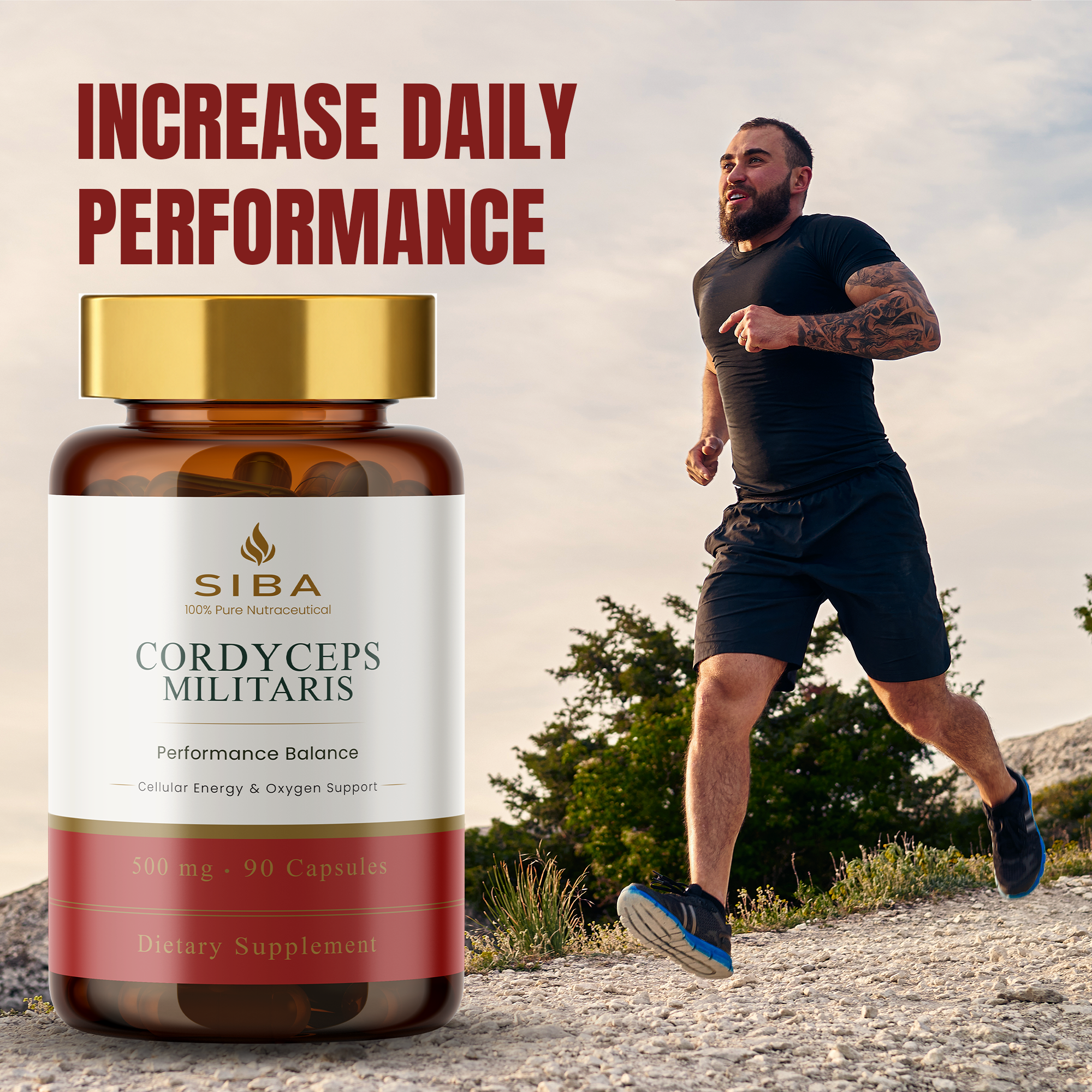 Cordyceps Mushroom Capsules