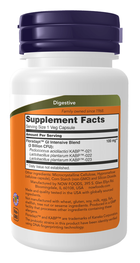 Intestinal Bacteria Support by Country Life Natural Foods