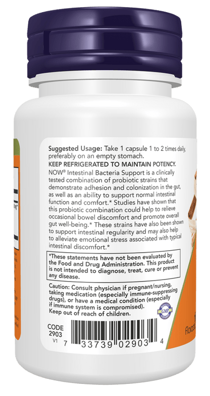 Intestinal Bacteria Support by Country Life Natural Foods