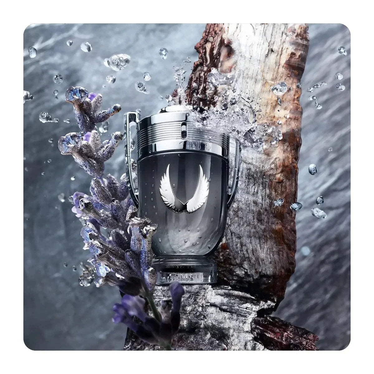 Invictus Platinum By Paco Rabanne For Men 3.4oz EDP Spray by perfumesandrea
