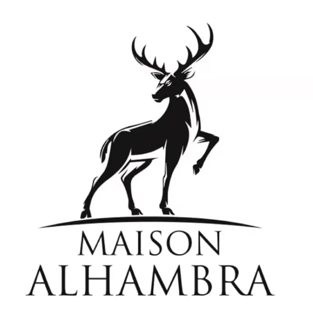 Jean Lowe Noir By Maison Alhambra For Men 3.4 oz EDP Spray by perfumesandrea