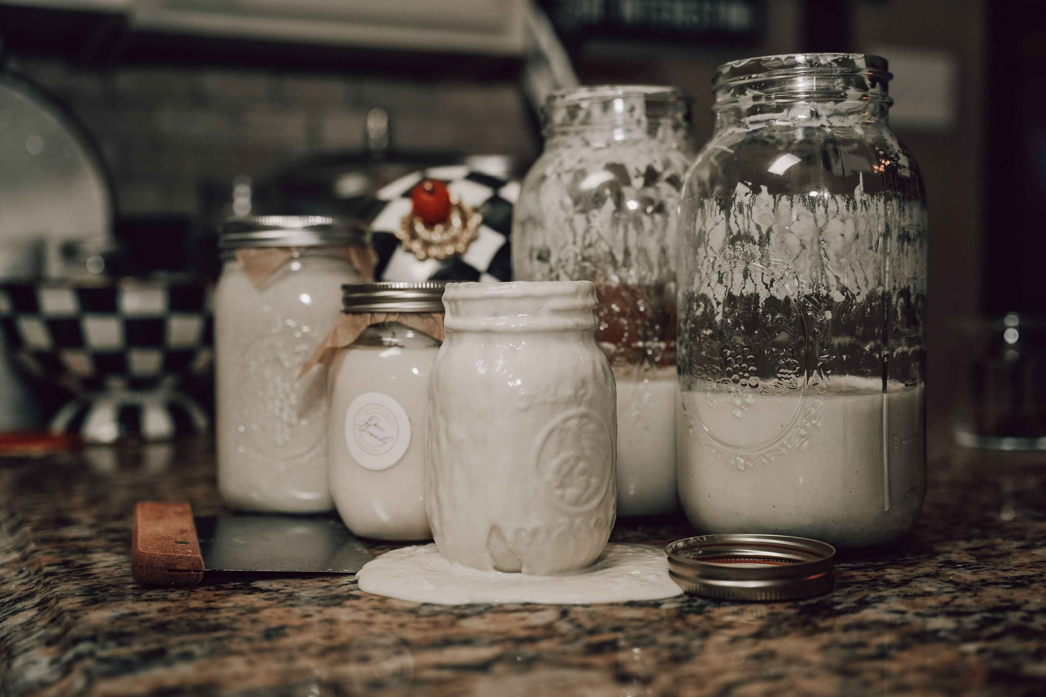 Onic Brands Dehydrated Sourdough Starter