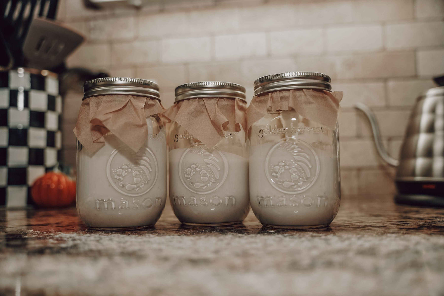 Onic Brands Sourdough Starter