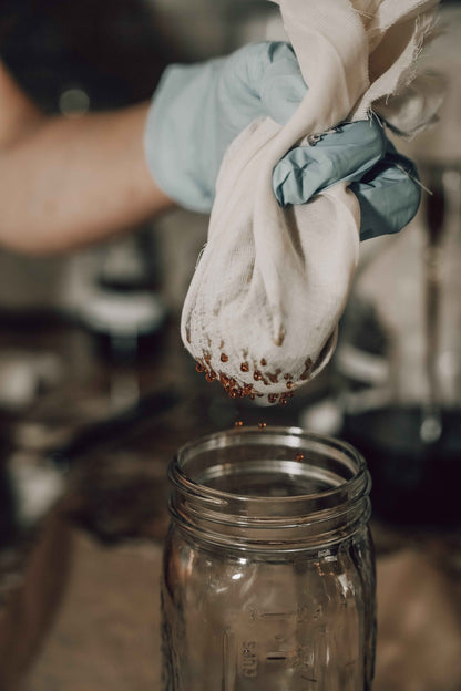 Onic Brands Elemental Oregano Glycerite Tincture