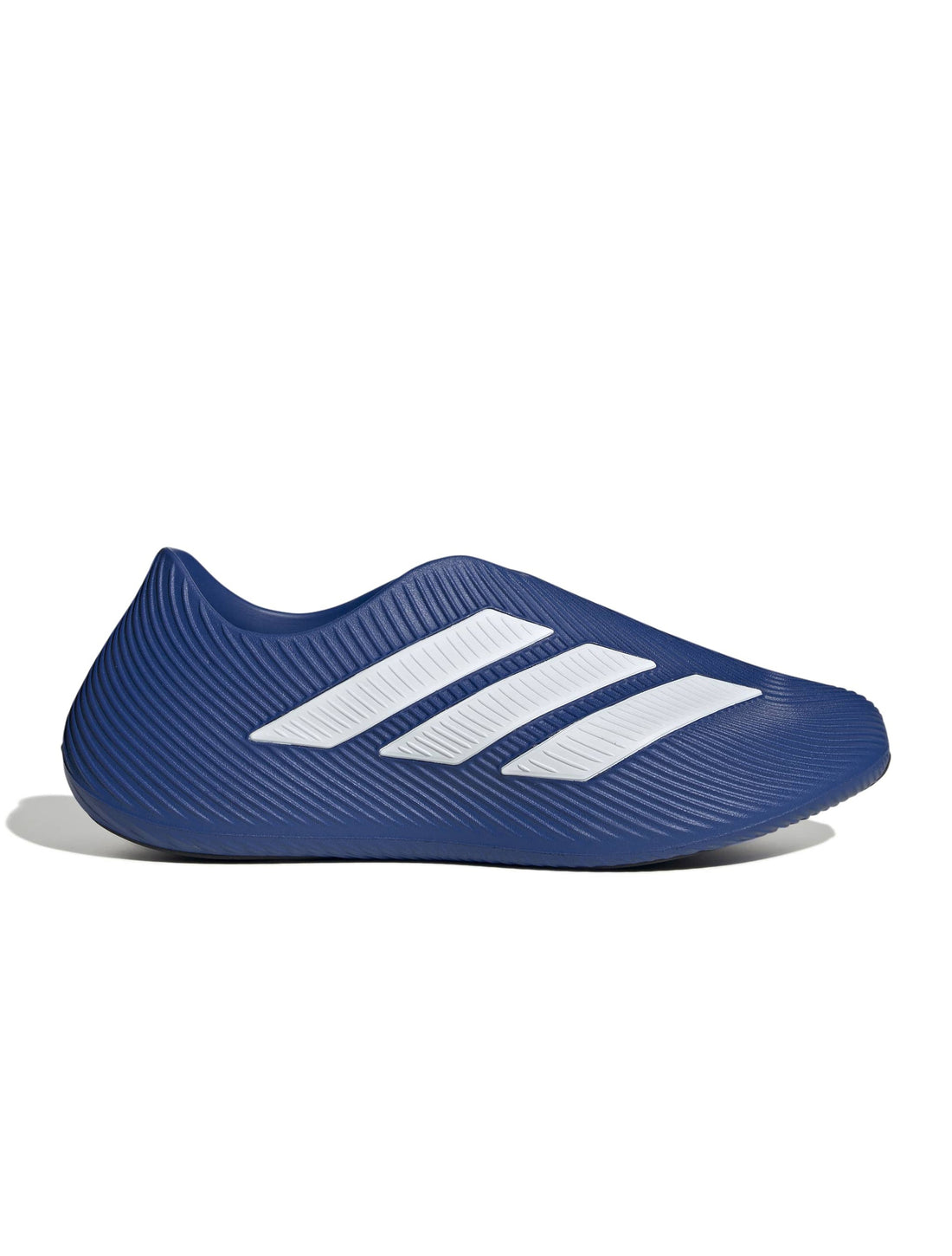 Adidas Mens Purechill - Royal Blue by Denim Exchange