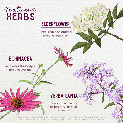 Kick-Ass Immune Activator by WishGarden Herbs