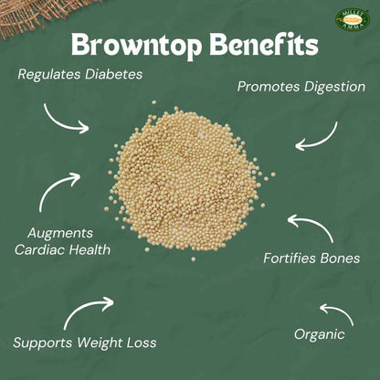 Millet Amma Organic Browntop Millet Grains
