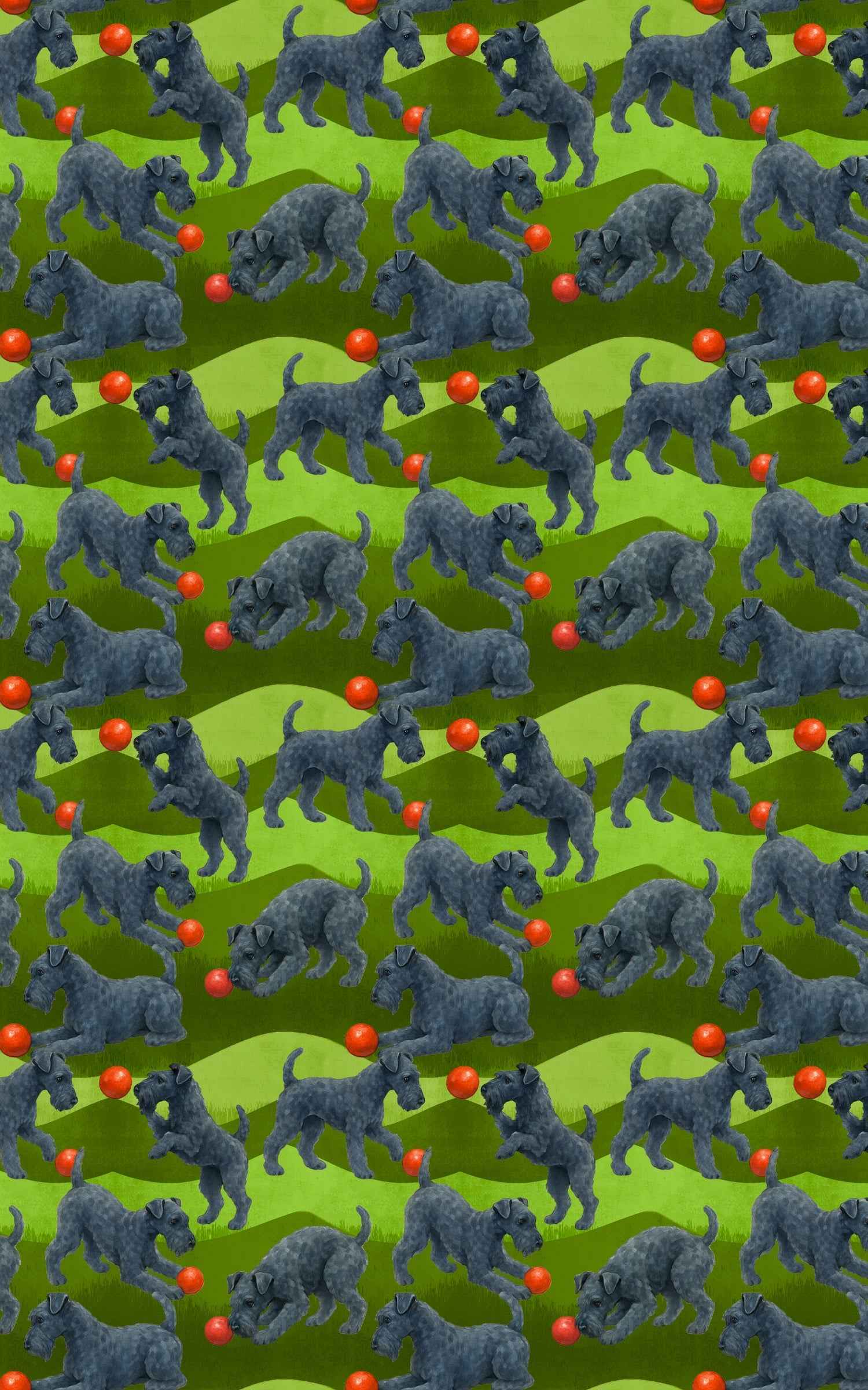 Garden Kerry Blue Terrier