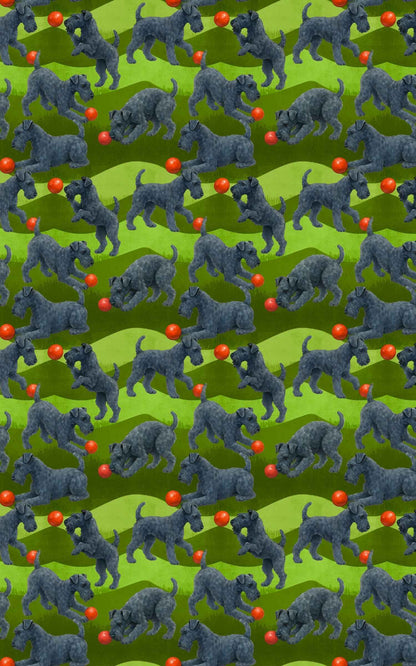 Garden Kerry Blue Terrier