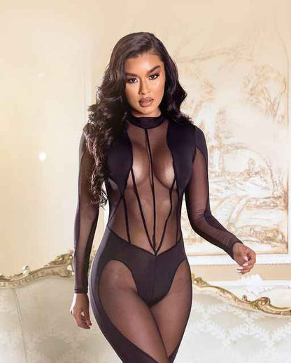 Sheer Mesh Detailed Jumpsuit with Zipper Closure