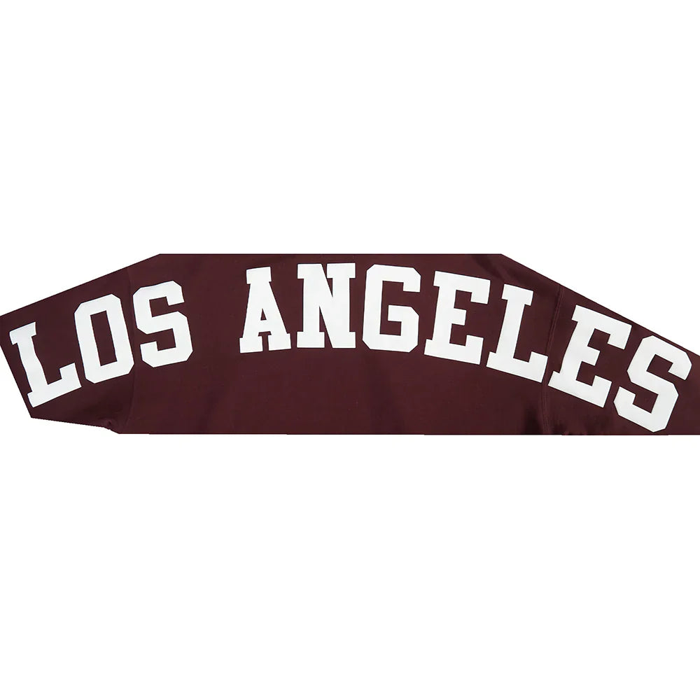 Pro Standard La Dodgers Wingspan Drop Shoulder Hoodie - Wine by Denim Exchange