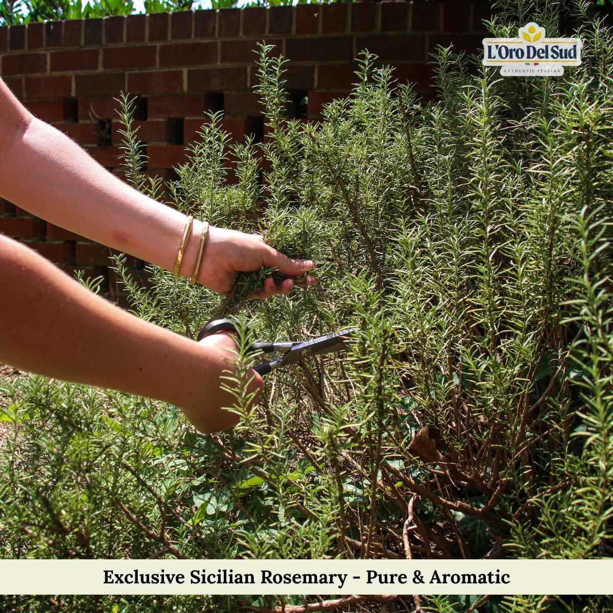 L’Oro Del Sud, Sicilian Rosemary Leaves, 2.11 oz (60 g)