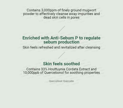 ANUA Heartleaf Quercetinol Pore Deep Cleansing Foam