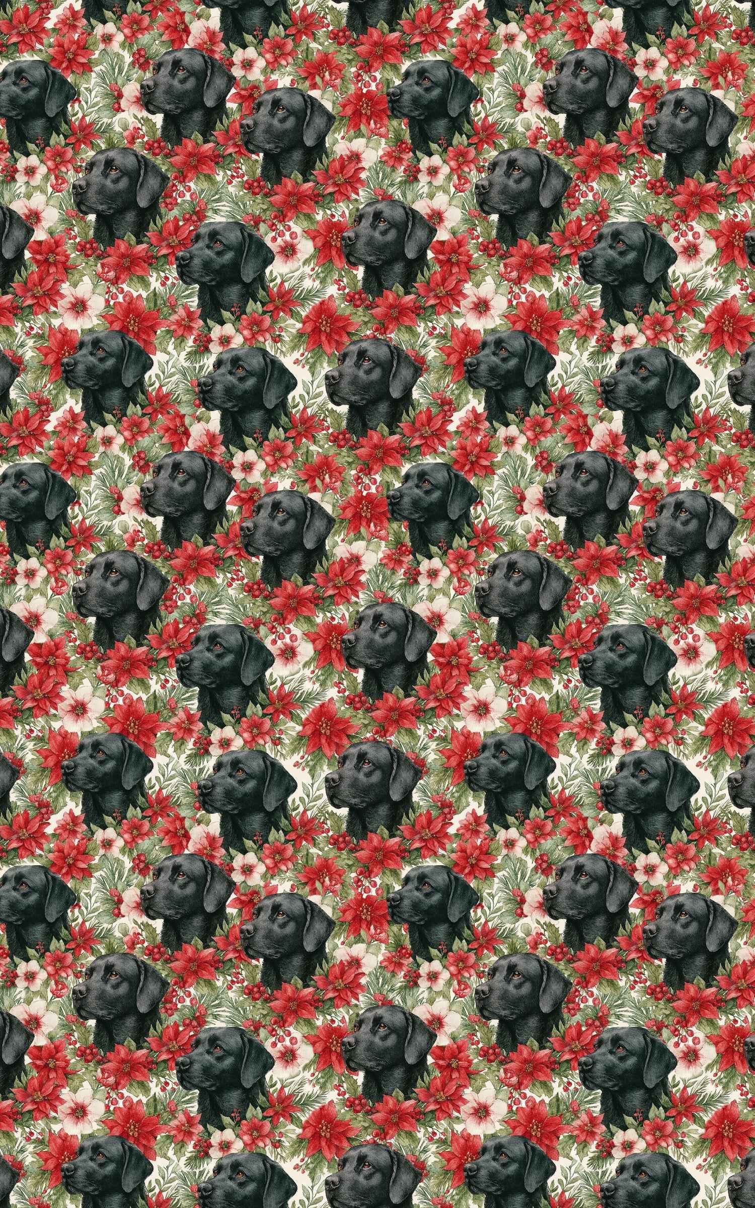 The Mistletoe Watcher