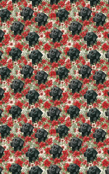 The Mistletoe Watcher