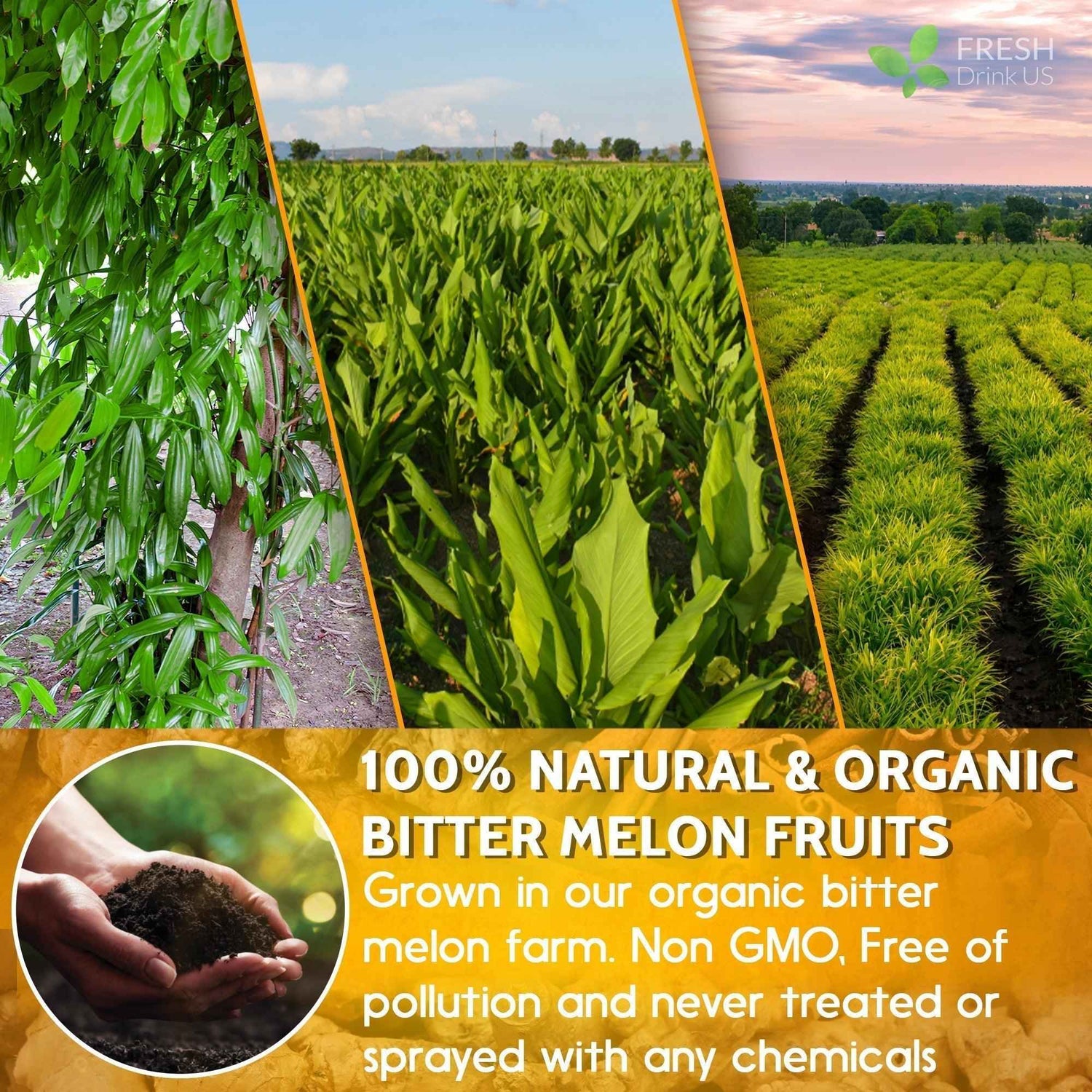 Turmeric Ginger, Cinnamon Tea, Tea Bags, 100% Natural, Hand-made, No Sugar, No Caffeine, No Gluten, Vegan