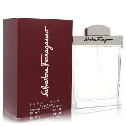Salvatore Ferragamo By Salvatore Ferragamo Cologne for Men - DestGlow